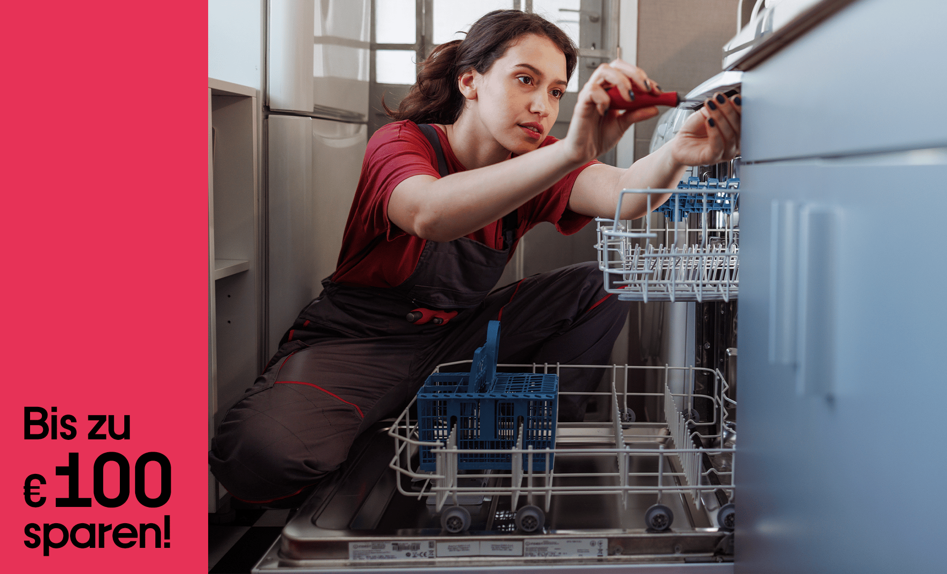 Haushaltsgerätetausch
HHGT
Reparaturbonus
Störer