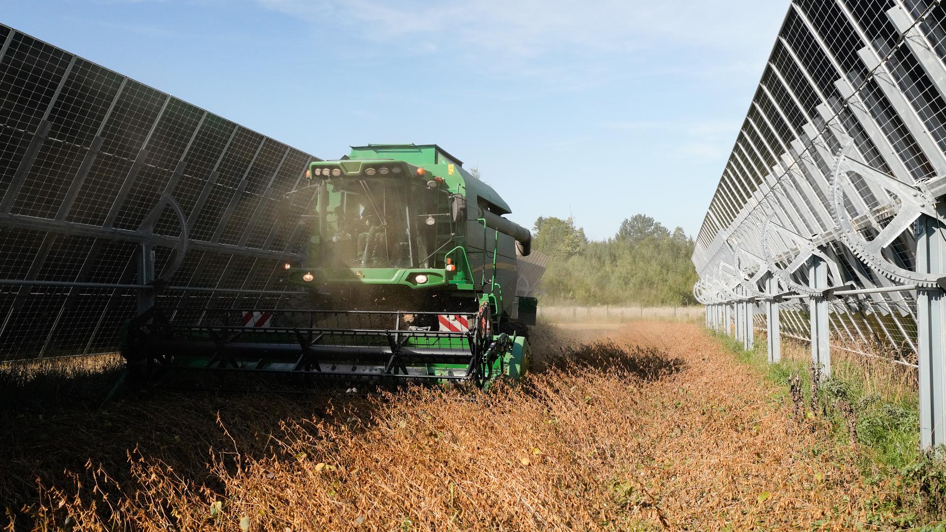 Agri PV Pischelsdorf bei der Sojaernte 2026