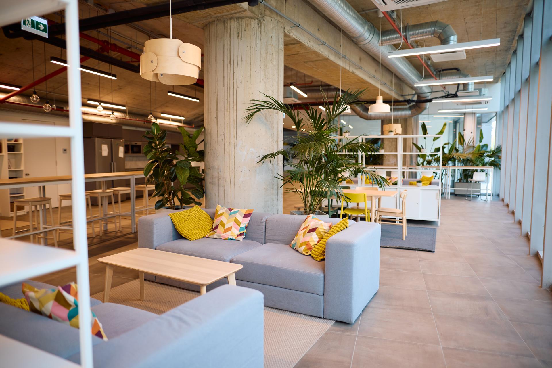 Comfortable sofas and lush plants create a welcoming atmosphere in a modern coworking space, fostering productivity and collaboration among professionals
Ifea