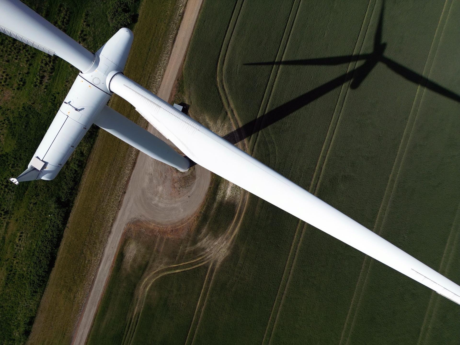 Ökostrom Loyal
Windrad
Windkraft
Strom
Stromtarif
