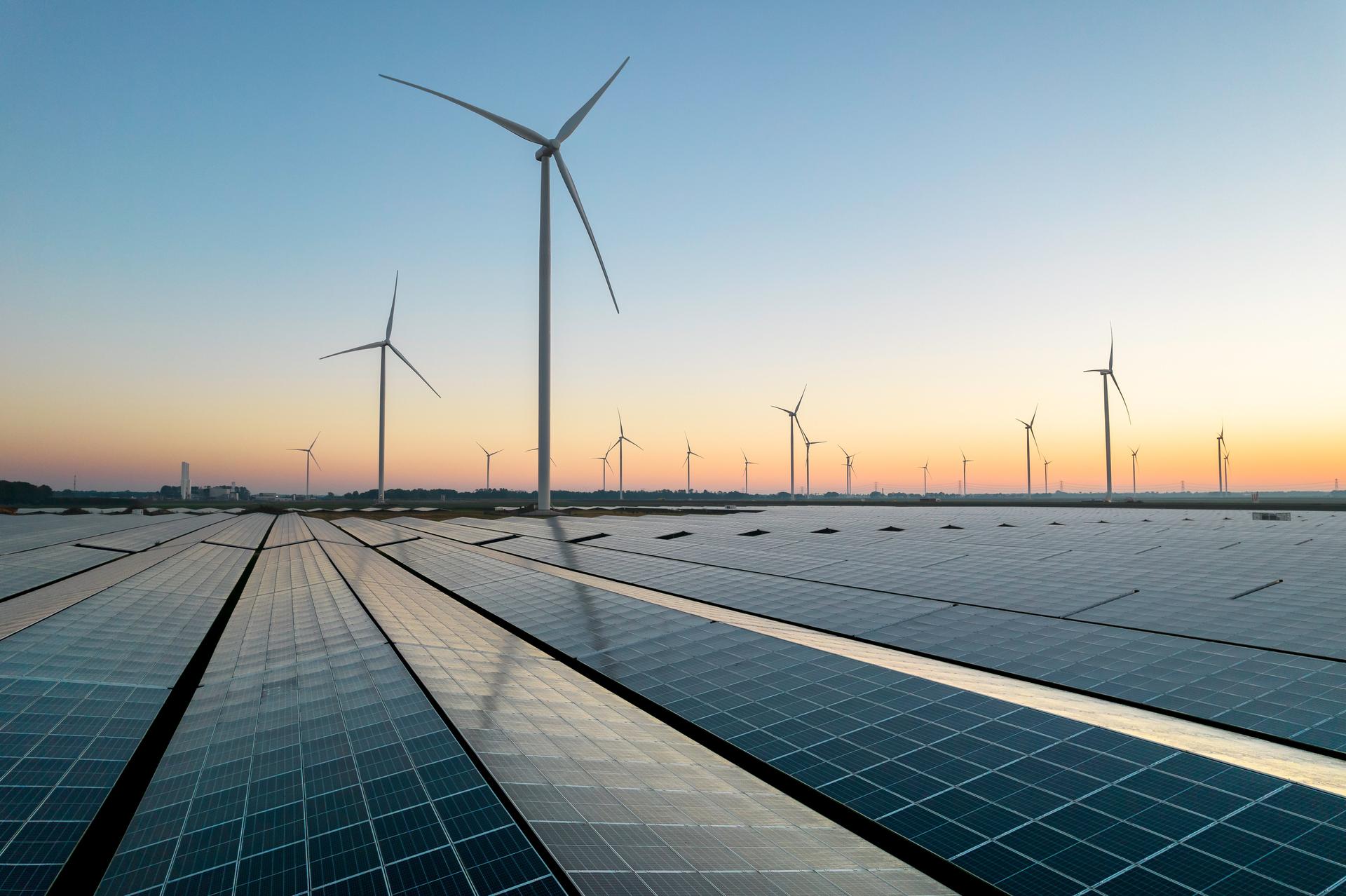 Reflected sky on a solar panel field during a summer sunrise. Wind turbines can be seen on the horizon.
Muntendam, the Netherlands, September 2023