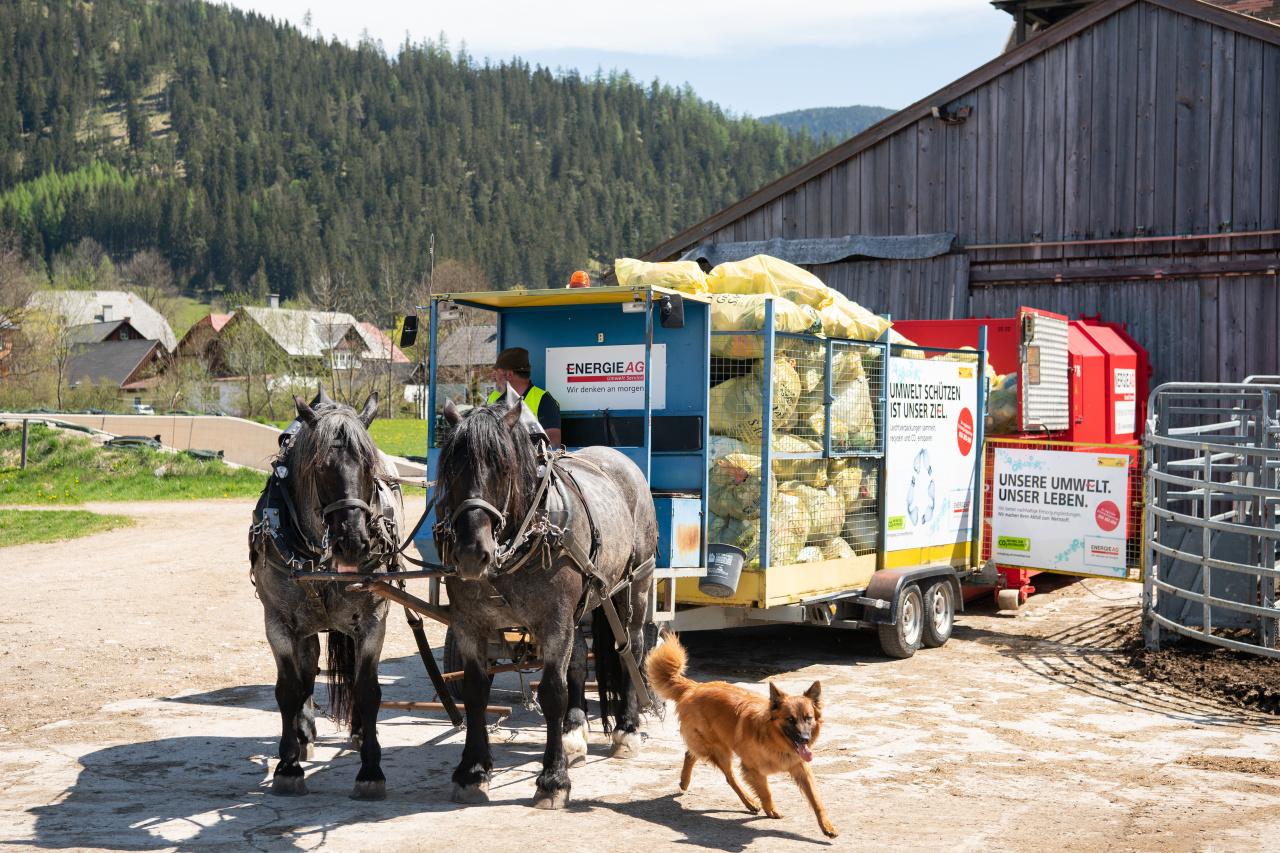 Pferdefuhrwerk Bad Mitterndorf Gelber Sack