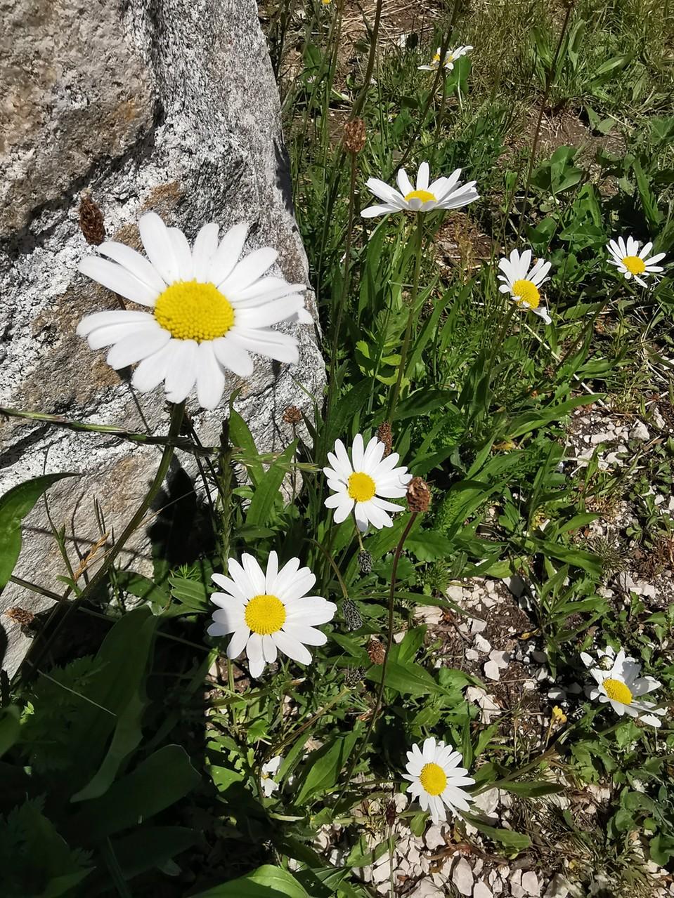 Wandern ums Kraftwerk