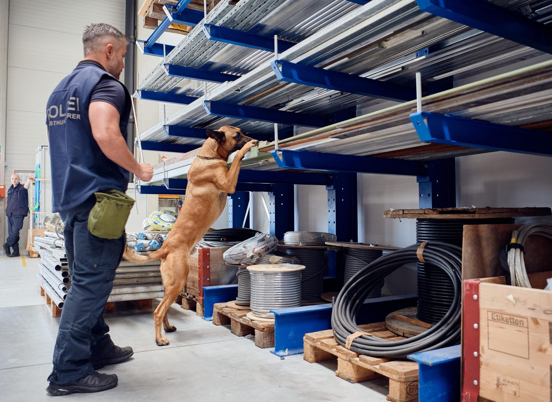 Training Polizei-Diensthund